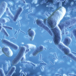 Bacteria illustration
