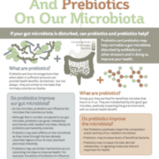 infographic on effects of probiotics and prebiotics on microbiota