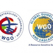 World Gastroenterology Association