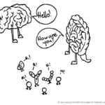 brain-gut relationship illustration