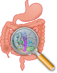 intestinal party