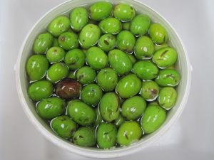 IMG 0235