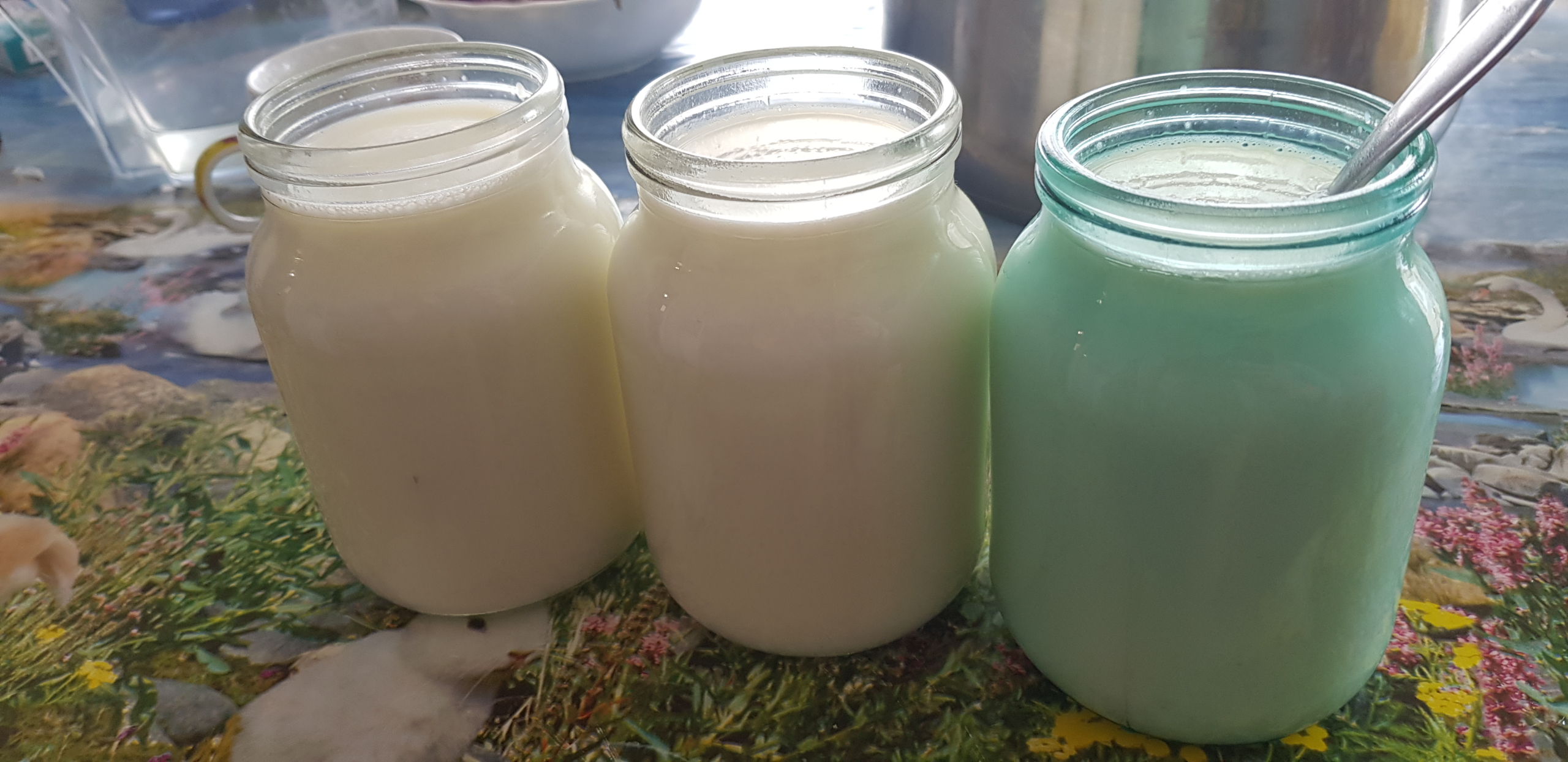 Bulgarian yogurt: An old tradition, alive and well - International Scientific Association for Probiotics and Prebiotics (ISAPP)