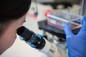 EFSA’s QPS committee issues latest updates 13 ISAPP LAB 022