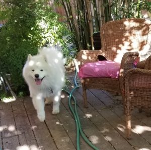 2021 06 10 Outside