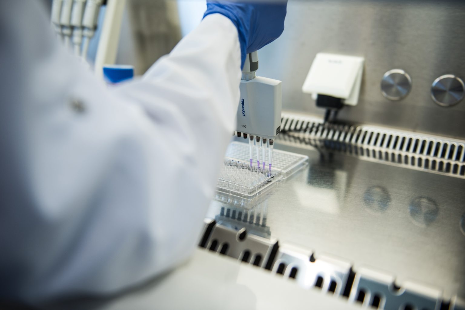 Your guide to new probiotic names: Lactobacillus - International ...
