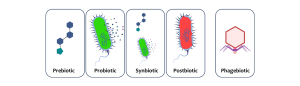 phagebiotics fi