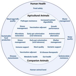 animal biotics