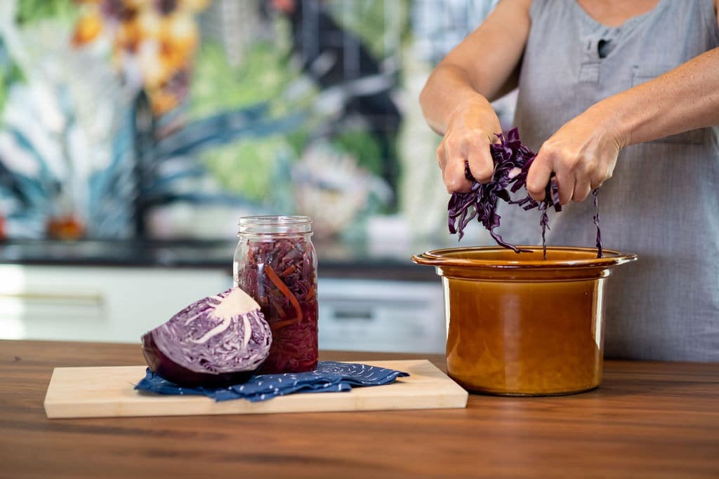 ISAPP Fermented foods