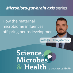 Jasarevic cover series