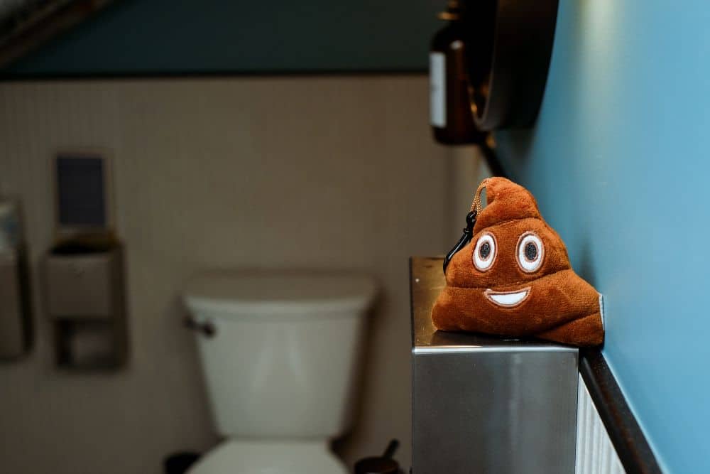 Plush poop emoji on bathroom counter, with toilet in background