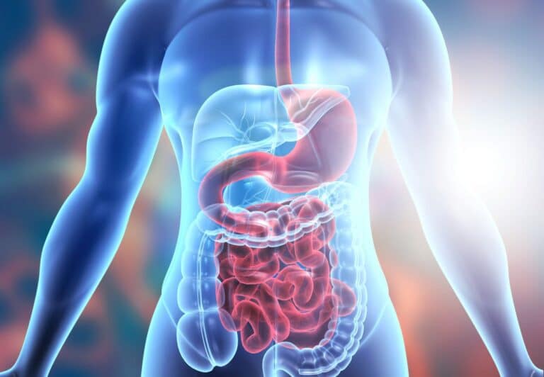 ISAPP elaborates criteria for prebiotics - International Scientific ...