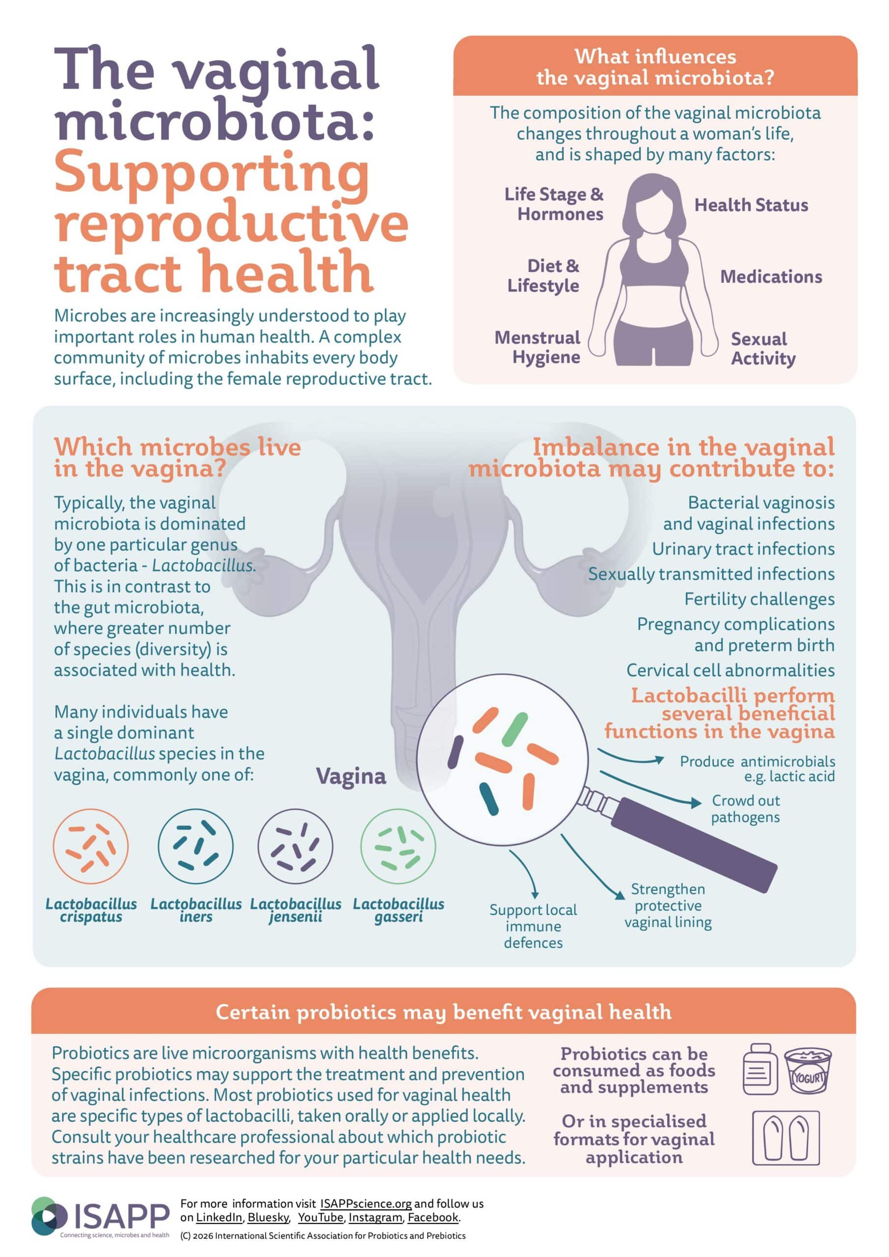 Vaginal Microbiota scaled